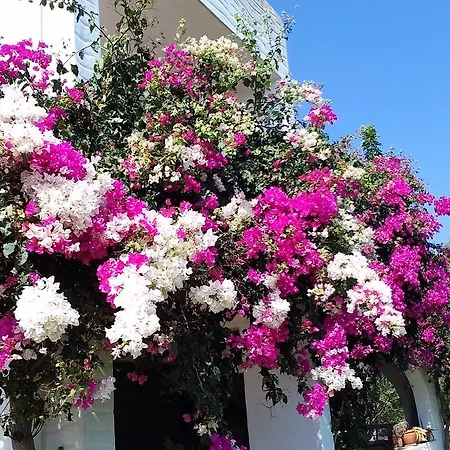 Rodos Paradise Κοσκινού