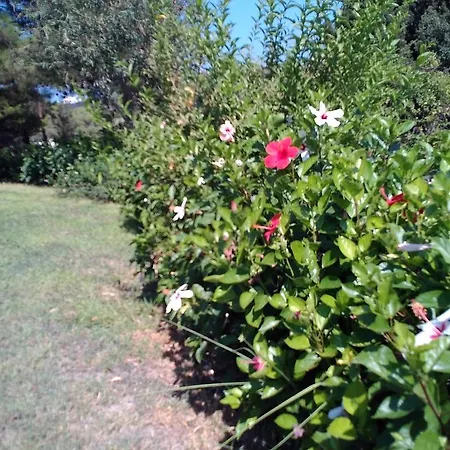 Vilă Rodos Paradise Koskinou (Rhodes)