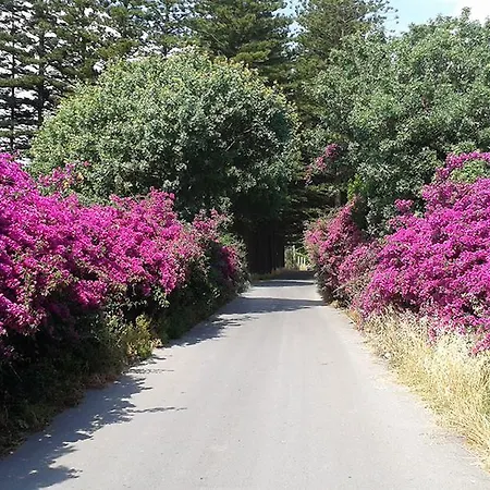 Rodos Paradise Koskinou (Rhodes)