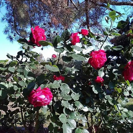 Villa Rodos Paradise
